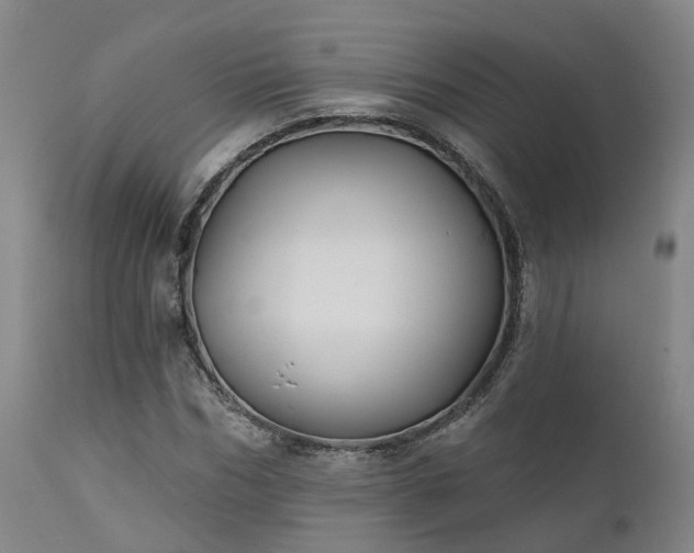 X0000111240970200907091355