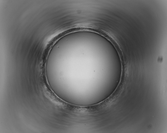 X0000111240971200907091355