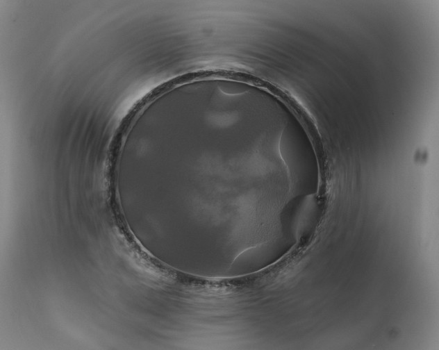 X0000111240975200907091355