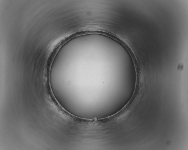 X0000111240979200907091355