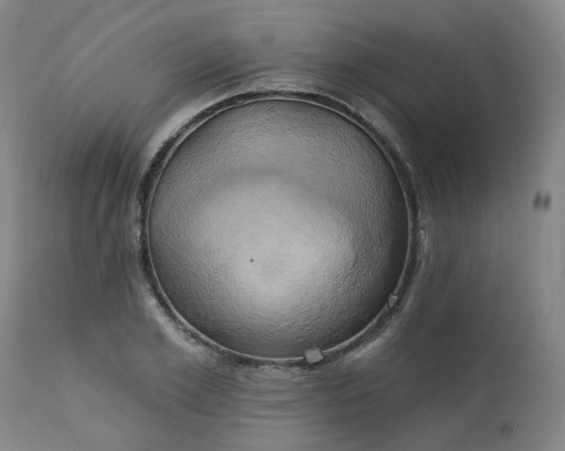 X0000111240981200907091355