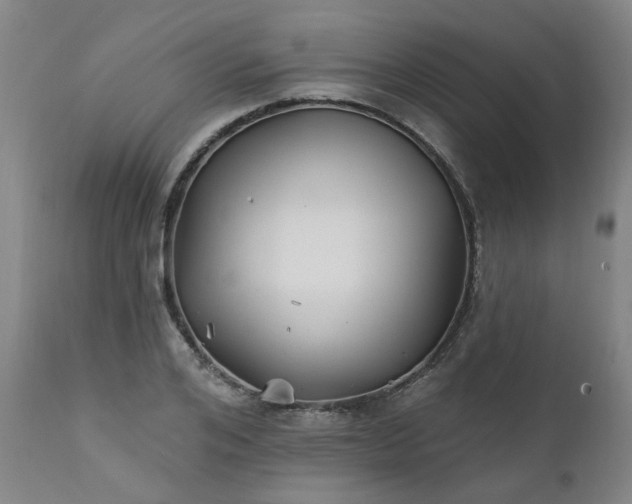 X0000111240984200907091355