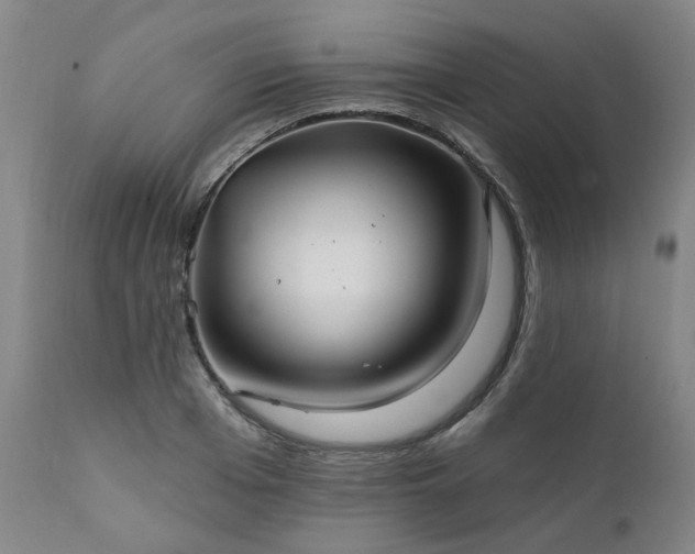 X0000111240985200907091355