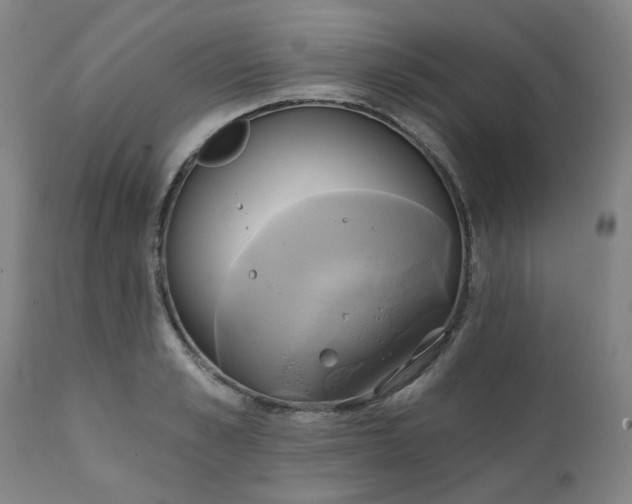 X0000111240989200907091355