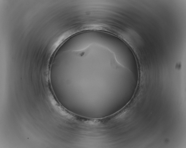 X0000111240994200907091355