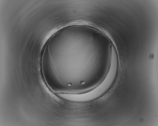 X0000111240997200907091355