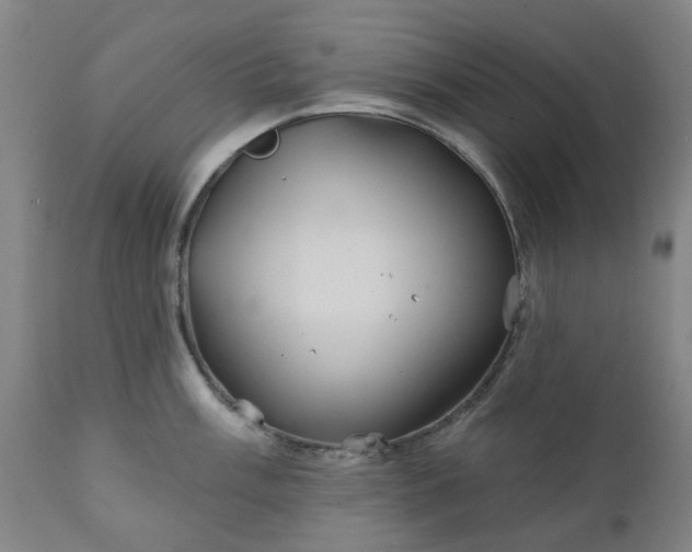 X0000111241003200907091355