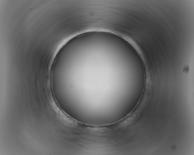 X0000111241004200907091355