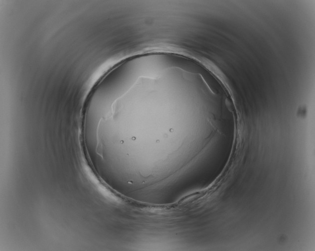 X0000111241005200907091355