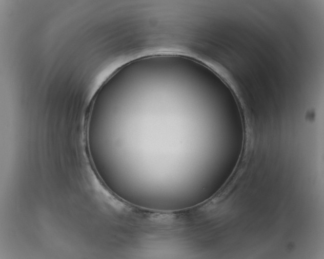 X0000111241006200907091355