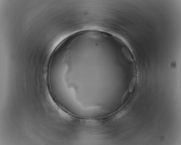 X0000111241007200907091355