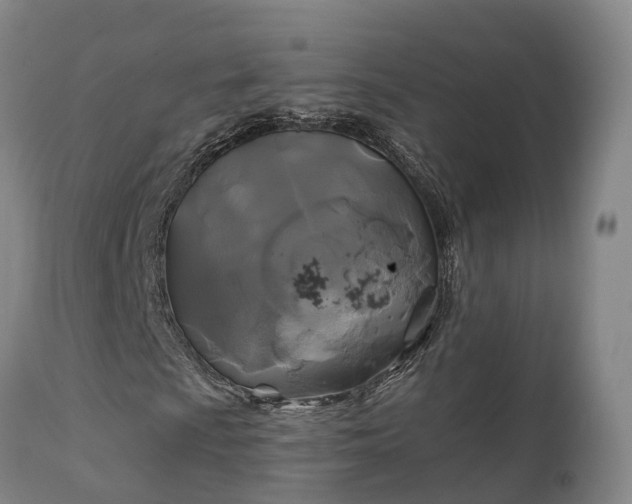 X0000111241009200907091354