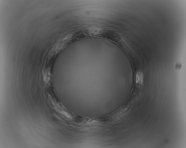 X0000111241011200907091354