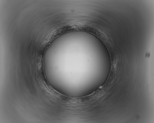 X0000111241012200907091354