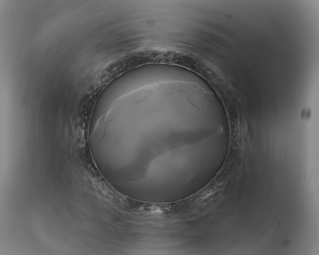 X0000111241013200907091354