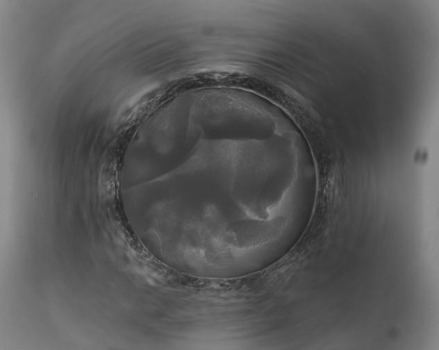 X0000111241014200907091354