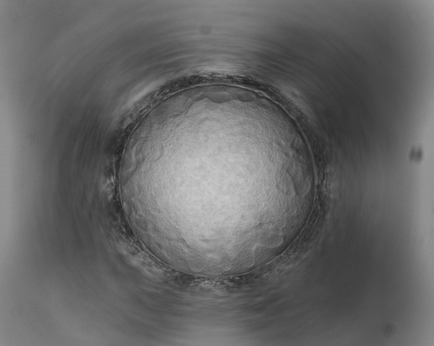 X0000111241015200907091354