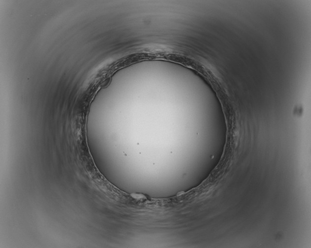 X0000111241016200907091354