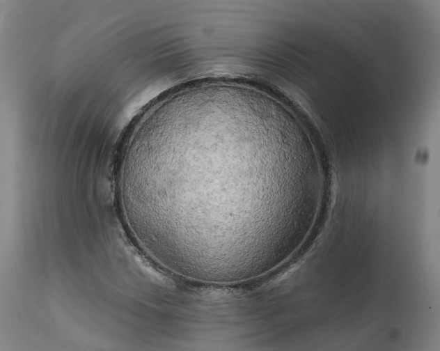 X0000111241018200907091354