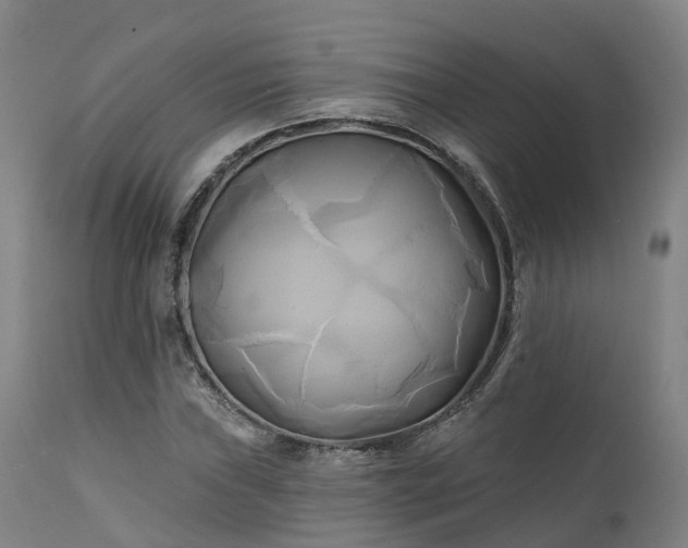 X0000111241019200907091354