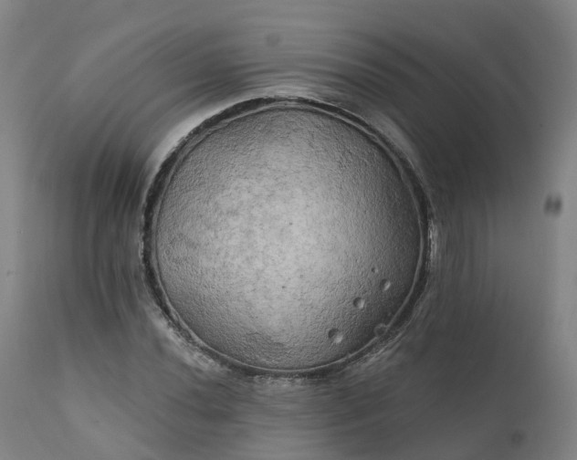 X0000111241020200907091354