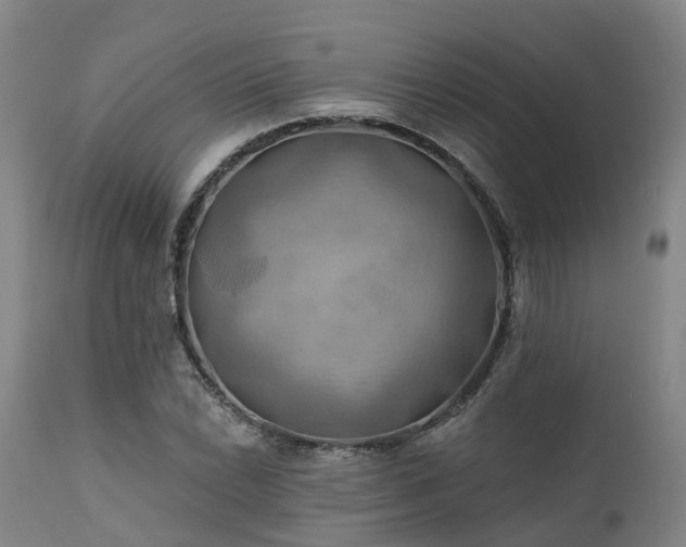 X0000111241022200907091354