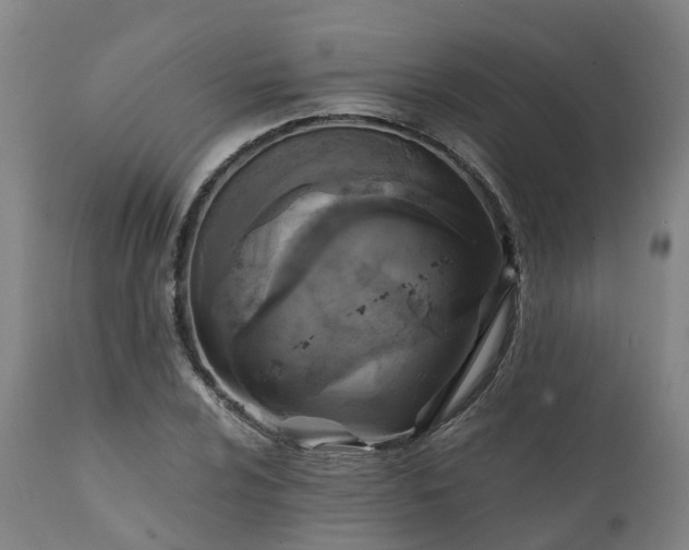 X0000111241024200907091354