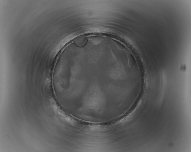 X0000111241025200907091354