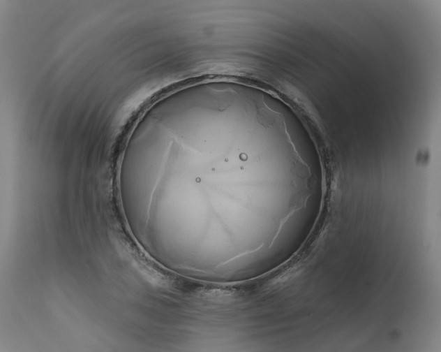 X0000111241027200907091354