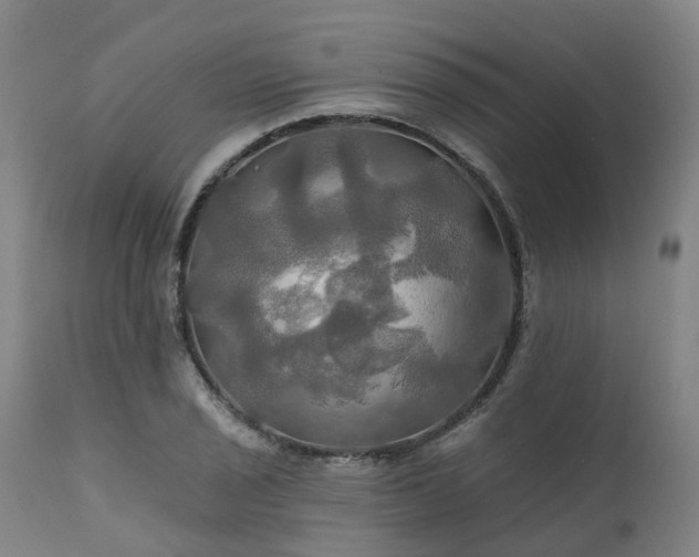 X0000111241029200907091354
