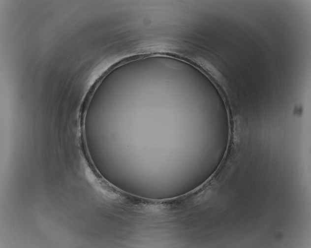 X0000111241031200907091354