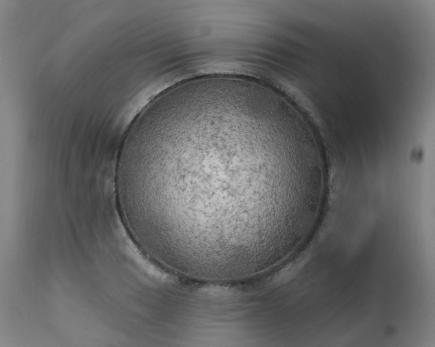 X0000111241033200907091354