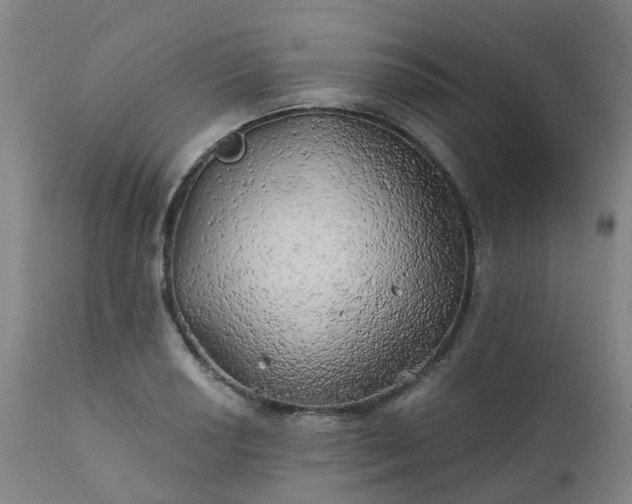 X0000111241034200907091354