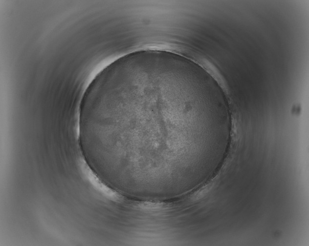 X0000111241036200907091354