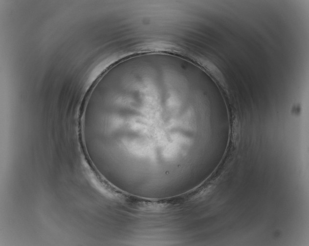 X0000111241039200907091355