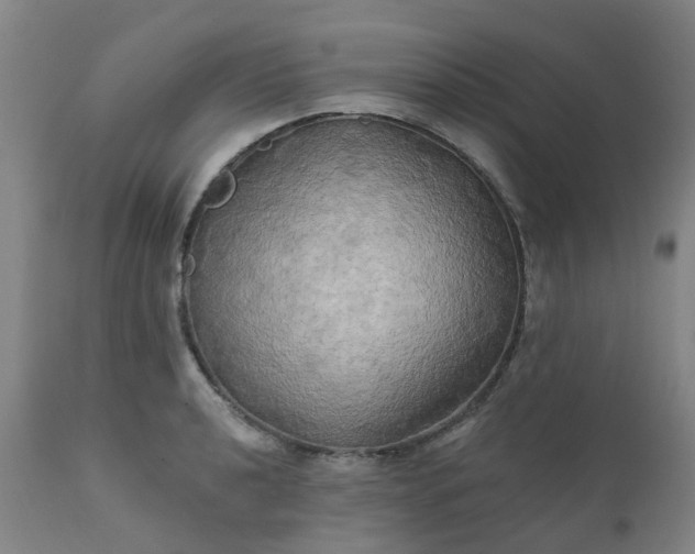 X0000111241040200907091355