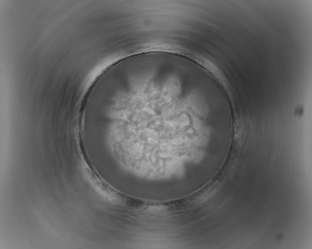 X0000111241043200907091355