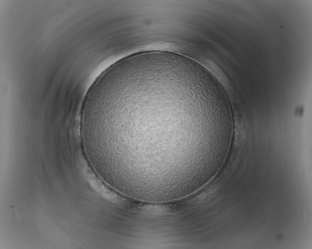 X0000111241044200907091355