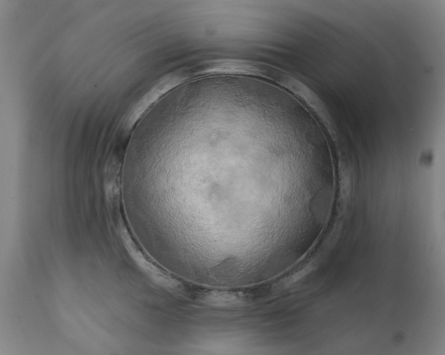 X0000111241049200907091355