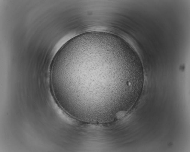 X0000111241050200907091355