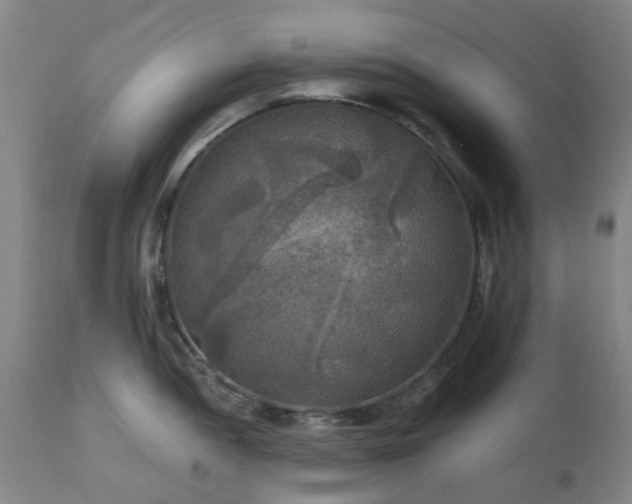 X0000111241052200907091355