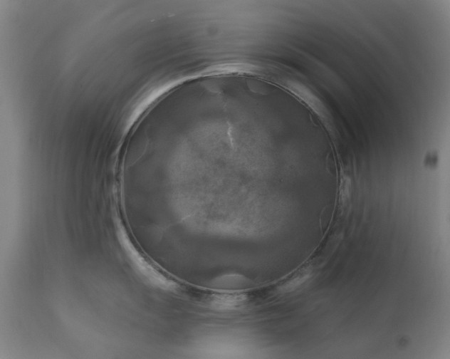 X0000111241055200907091355