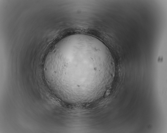 X0000111241057200907091354