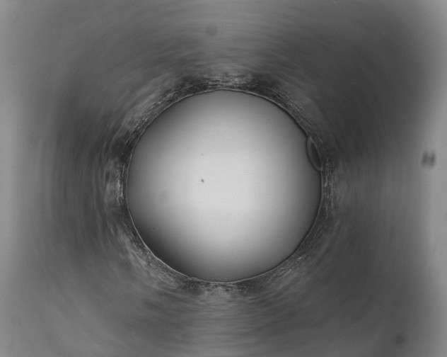 X0000111241058200907091354