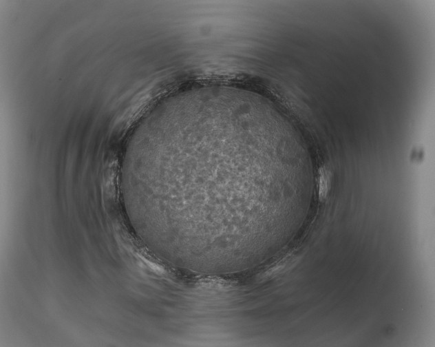 X0000111241059200907091354