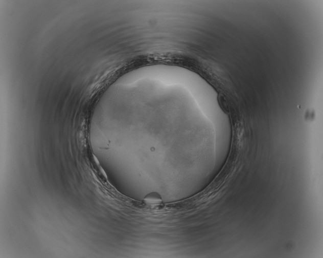X0000111241060200907091354