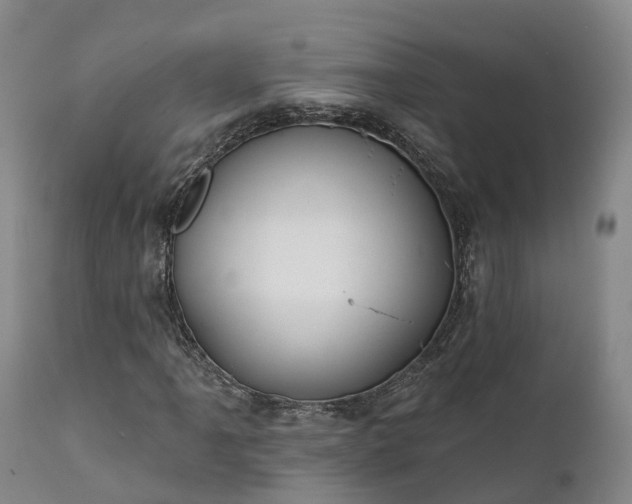 X0000111241061200907091354