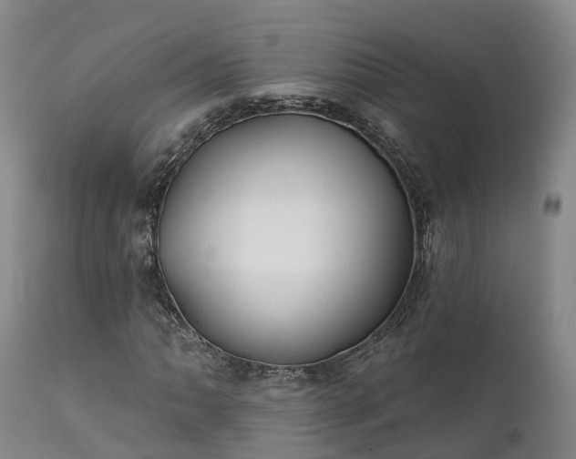 X0000111241062200907091354