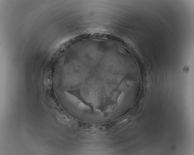 X0000111241063200907091354