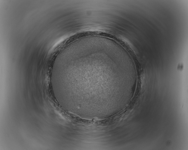 X0000111241064200907091354